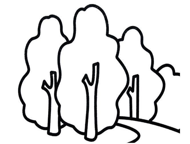 森林简笔画 森林简笔画简单又漂亮