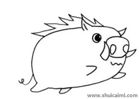 可爱野猪儿童简笔画