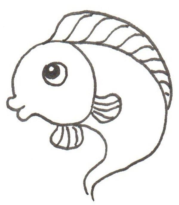 小鲤鱼的简笔画怎么画 小鲤鱼的简笔画好看