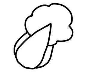 白菜简笔画 白菜简笔画图片带颜色