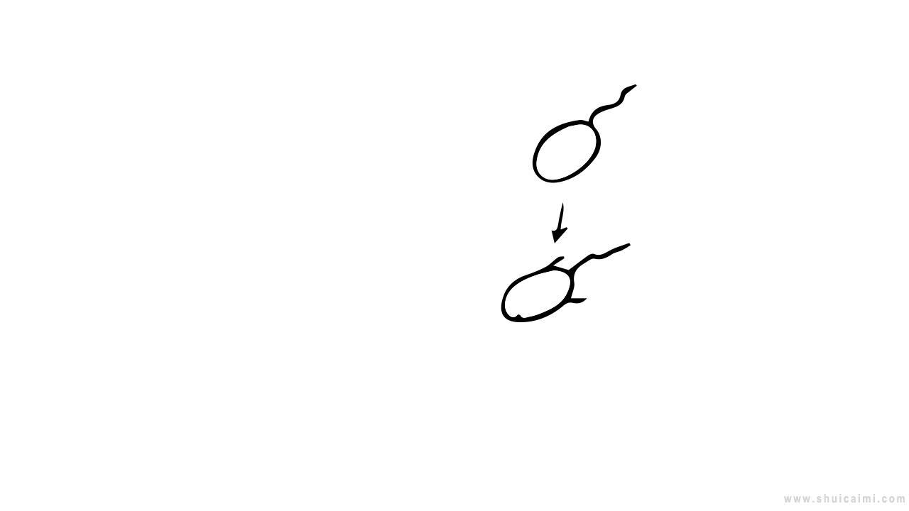 蝌蚪变青蛙简笔画怎么画 蝌蚪变青蛙简笔画图片大全