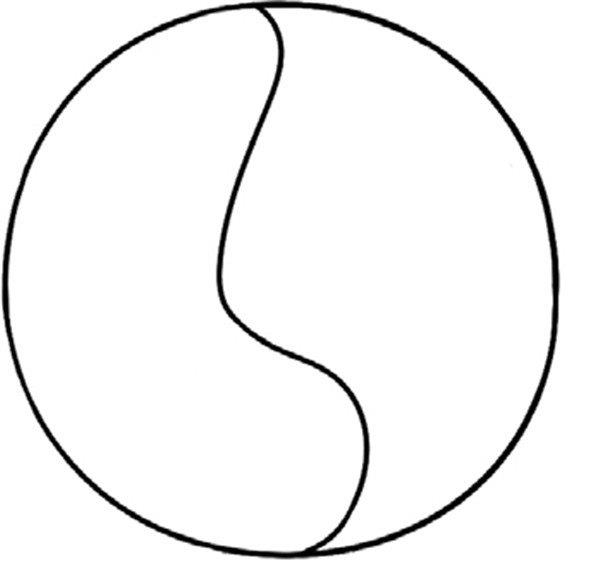 怒放的玫瑰简笔画怎么画 怒放的玫瑰简笔画图片大全