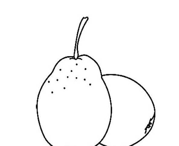 梨简笔画图片大全 梨简笔画图片大全图片