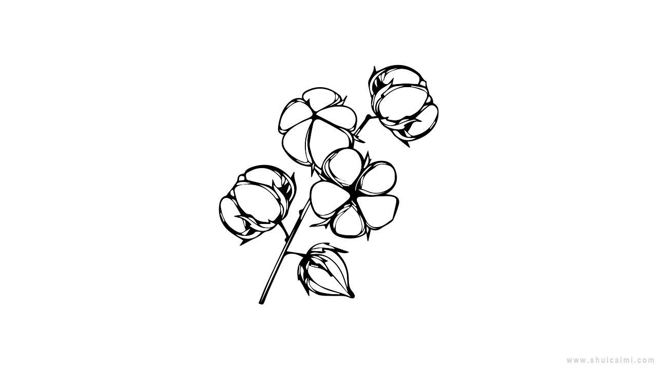棉花简笔画的画法告诉你,棉花简笔画怎么画?