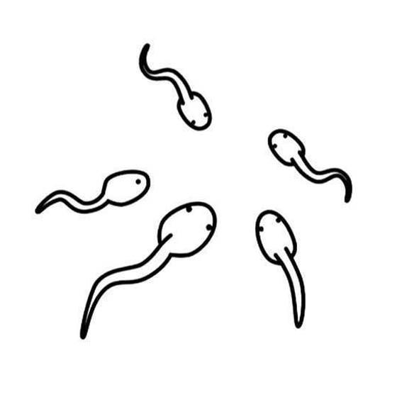 蝌蚪的简笔画图片大全 蝌蚪简笔画图片大全彩色