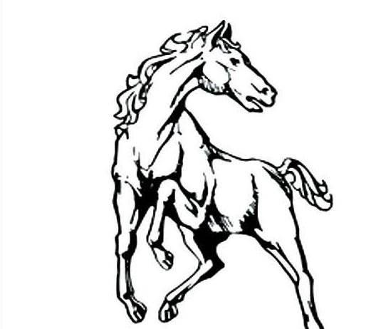 画马简笔画 怎样画马简笔画