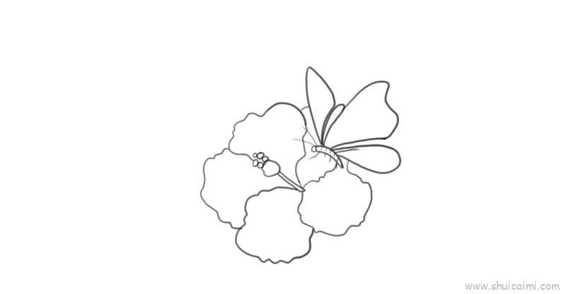 花朵和蝴蝶儿童画怎么画 花朵和蝴蝶简笔画图片大全