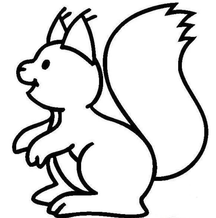 松鼠简笔画图片大全 松鼠简笔画图片大全彩色