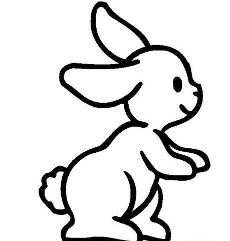 小兔子的简笔画图片大全 小兔子的简笔画图片大全大图