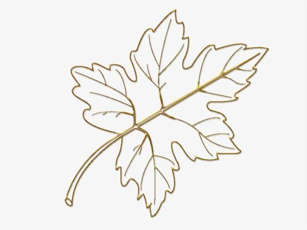 落叶简笔画 落叶简笔画彩色