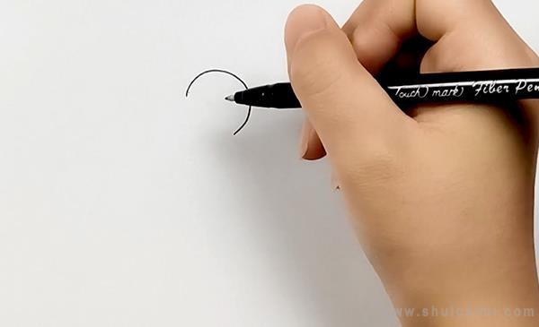 宠物鸟简笔画怎么画 宠物鸟简笔画顺序