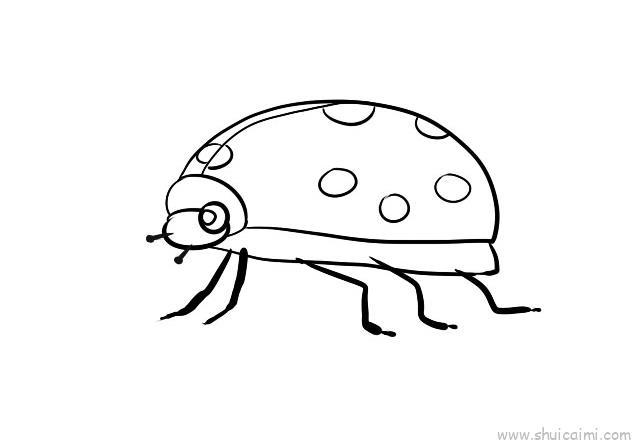 七星瓢虫儿童画怎么画 七星瓢虫简笔画画法