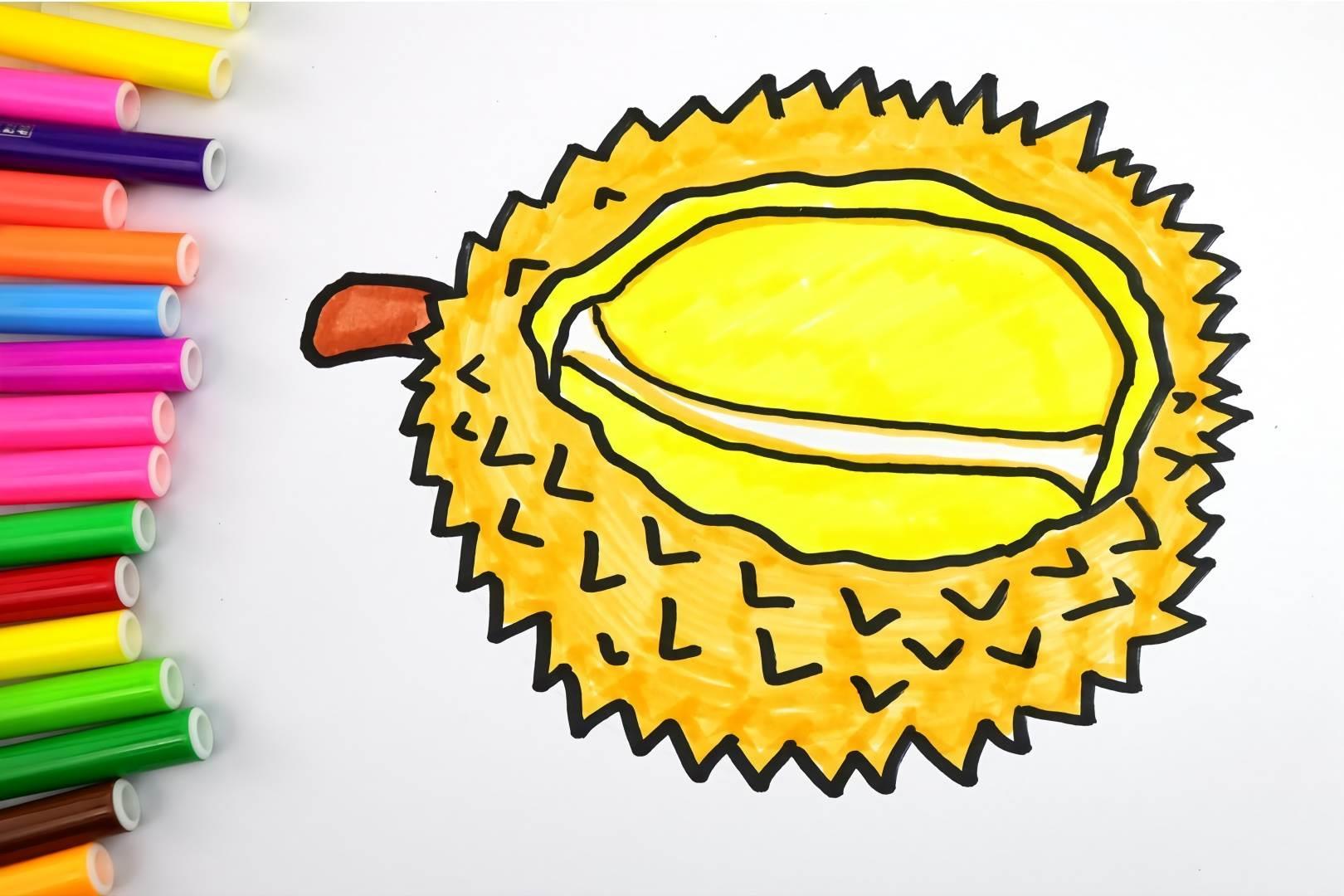 榴莲简笔画 榴莲简笔画图片