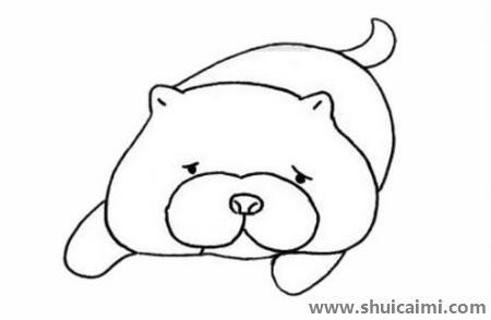 松狮犬儿童简笔画