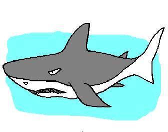 鱼怎么画简笔画图片 鱼怎么画简笔画图片彩色