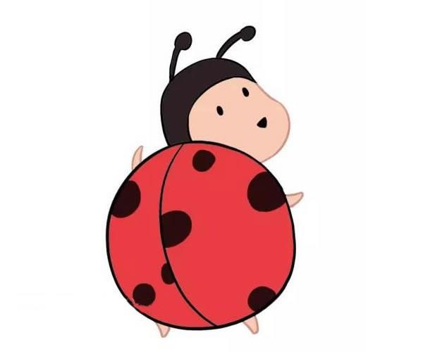 七星瓢虫简笔画 七星瓢虫简笔画图片大全