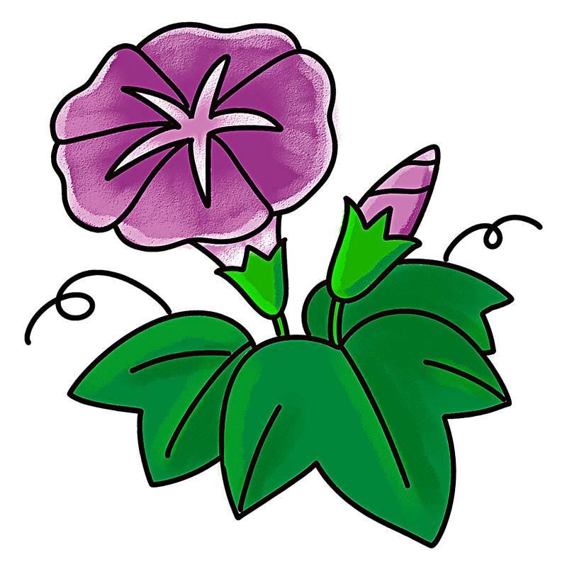 喇叭花简笔画 喇叭花简笔画图片大全