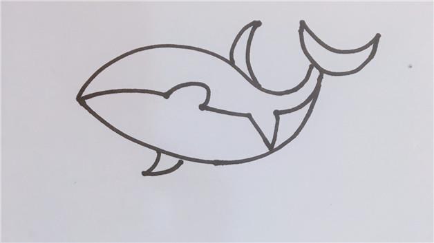 大白鲨简笔画怎么画 大白鲨简笔画顺序