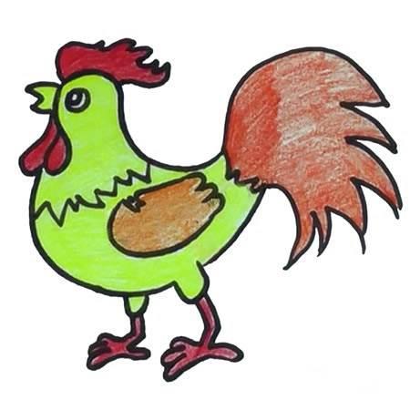 公鸡简笔画 公鸡简笔画怎么画