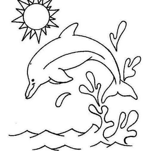 海洋世界简笔画 海洋世界简笔画带颜色