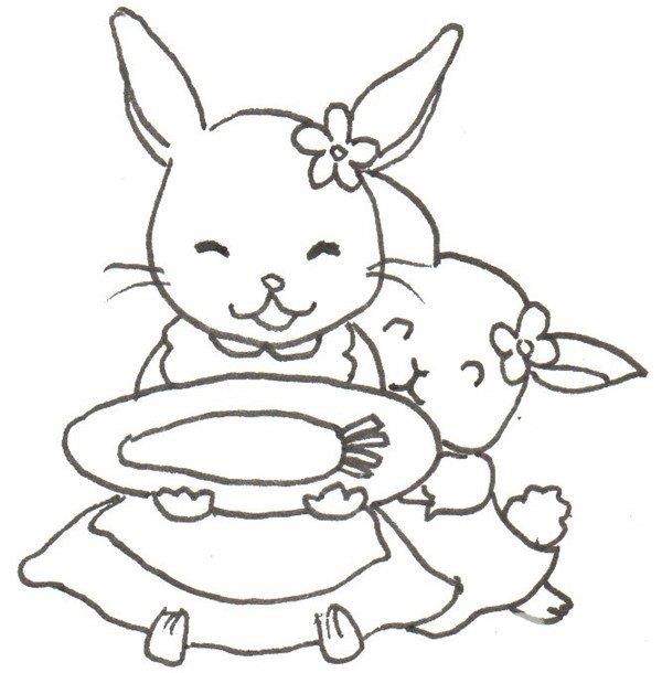 小白兔的简笔画怎么画 小白兔的简笔画步骤