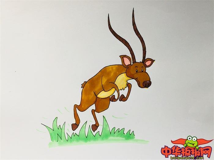 羚羊怎么画 羚羊简笔画简单又漂亮彩色