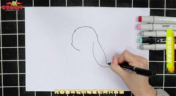 垂耳兔怎么画 垂耳兔简笔画图片大全带颜色