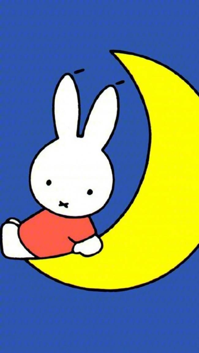 兔子图片简笔画 兔子图片简笔画彩色颜色