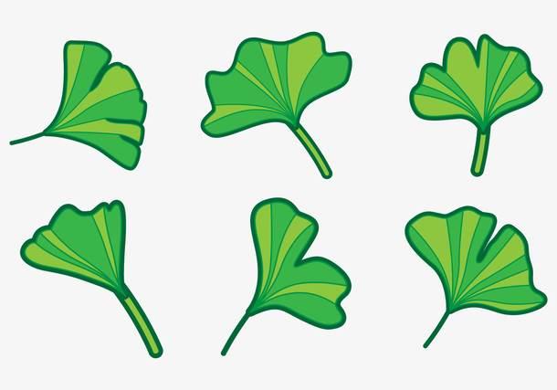 银杏树叶简笔画 银杏树叶简笔画图片