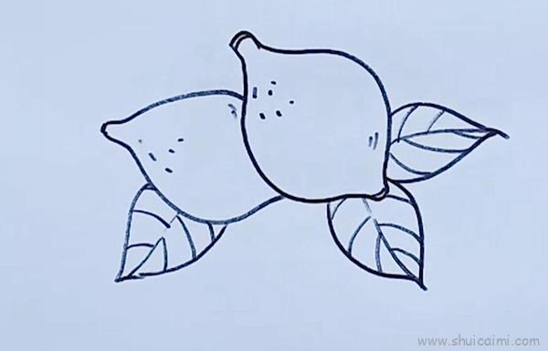 柠檬儿童画怎么画 柠檬简笔画步骤