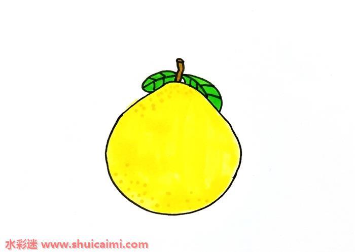 柚子怎么画 柚子简笔画图片带颜色