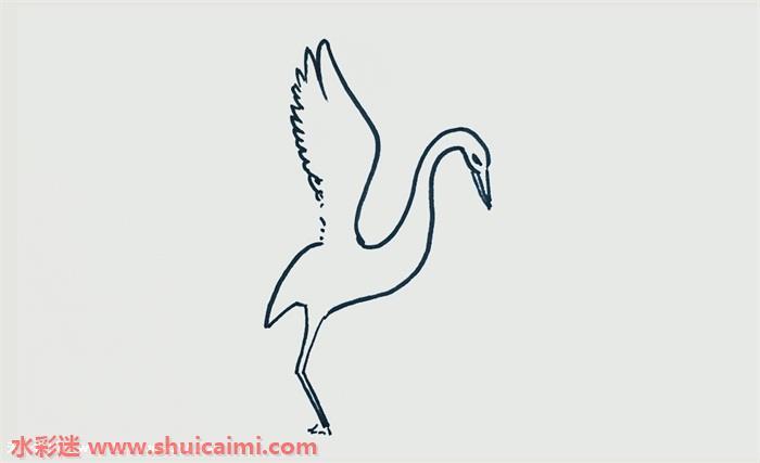 白鹭简笔画怎么画图片彩色