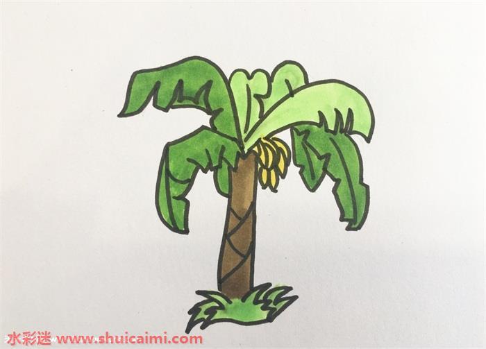 香蕉树怎么画 香蕉树简笔画简单好看带颜色