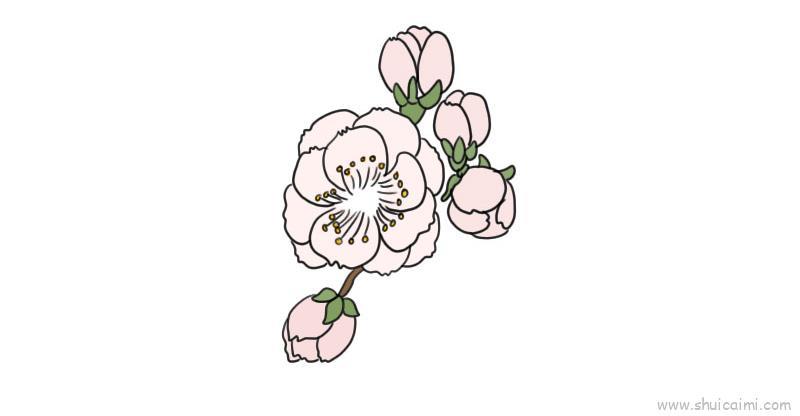 梅花儿童画怎么画 梅花简笔画好看
