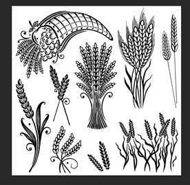 麦穗简笔画 麦穗简笔画简单又好看