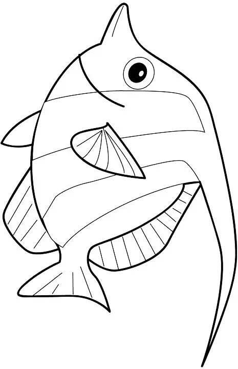 海底小动物简笔画 海底小动物简笔画图片