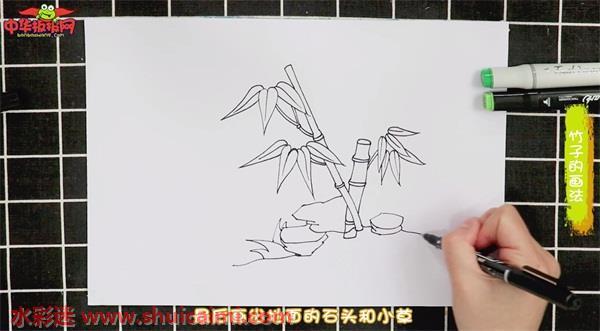 竹子怎么画 竹子简笔画图片带颜色