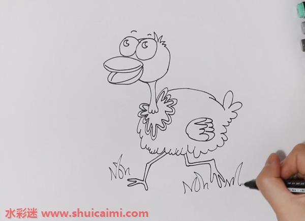 鸵鸟怎么画 鸵鸟简笔画简单易画彩色