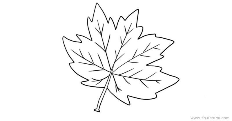 梧桐树叶儿童画怎么画 梧桐树叶简笔画图片