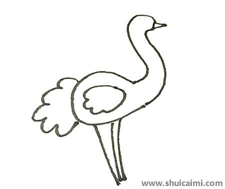 鸵鸟彩色儿童简笔画