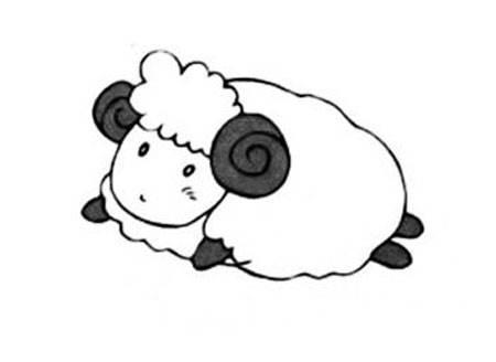 小绵羊简笔画 小绵羊简笔画彩色可爱