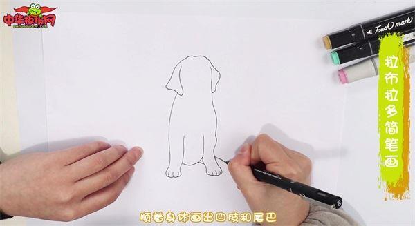 拉布拉多怎么画 拉布拉多简笔画画法