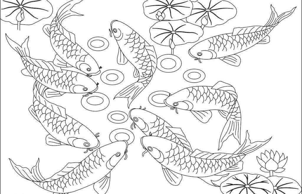 鱼图片简笔画 小金鱼图片简笔画