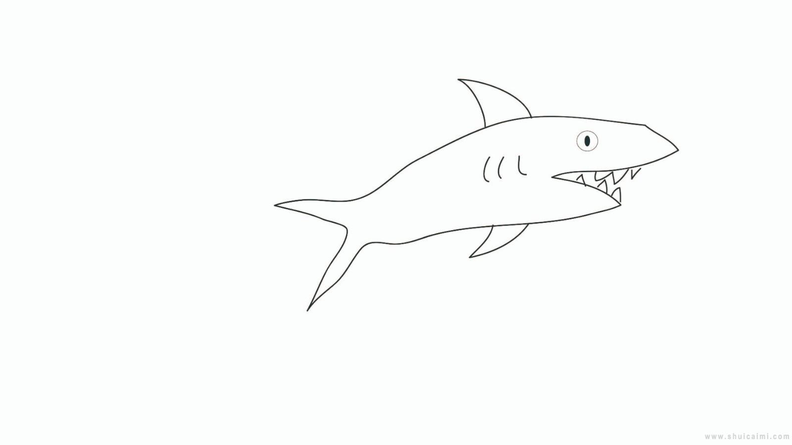 大鲨鱼简笔画怎么画 大鲨鱼简笔画顺序