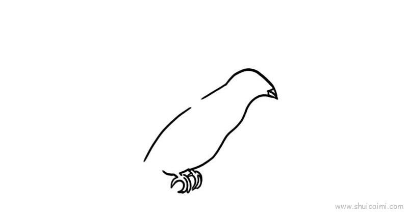 和平鸽儿童画怎么画 和平鸽简笔画图片大全