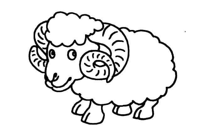 绵羊的简笔画图片大全 绵羊的简笔画图片大全大图可爱