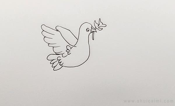 和平鸽简笔画怎么画 和平鸽简笔画简单