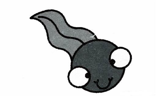 蝌蚪的简笔画图片大全 蝌蚪简笔画图片大全彩色