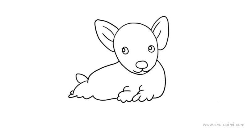 蝶耳犬儿童画怎么画 蝶耳犬简笔画简单