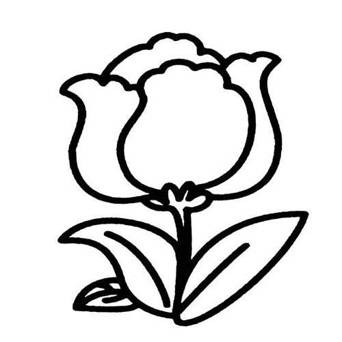 花简笔画 花简笔画彩色